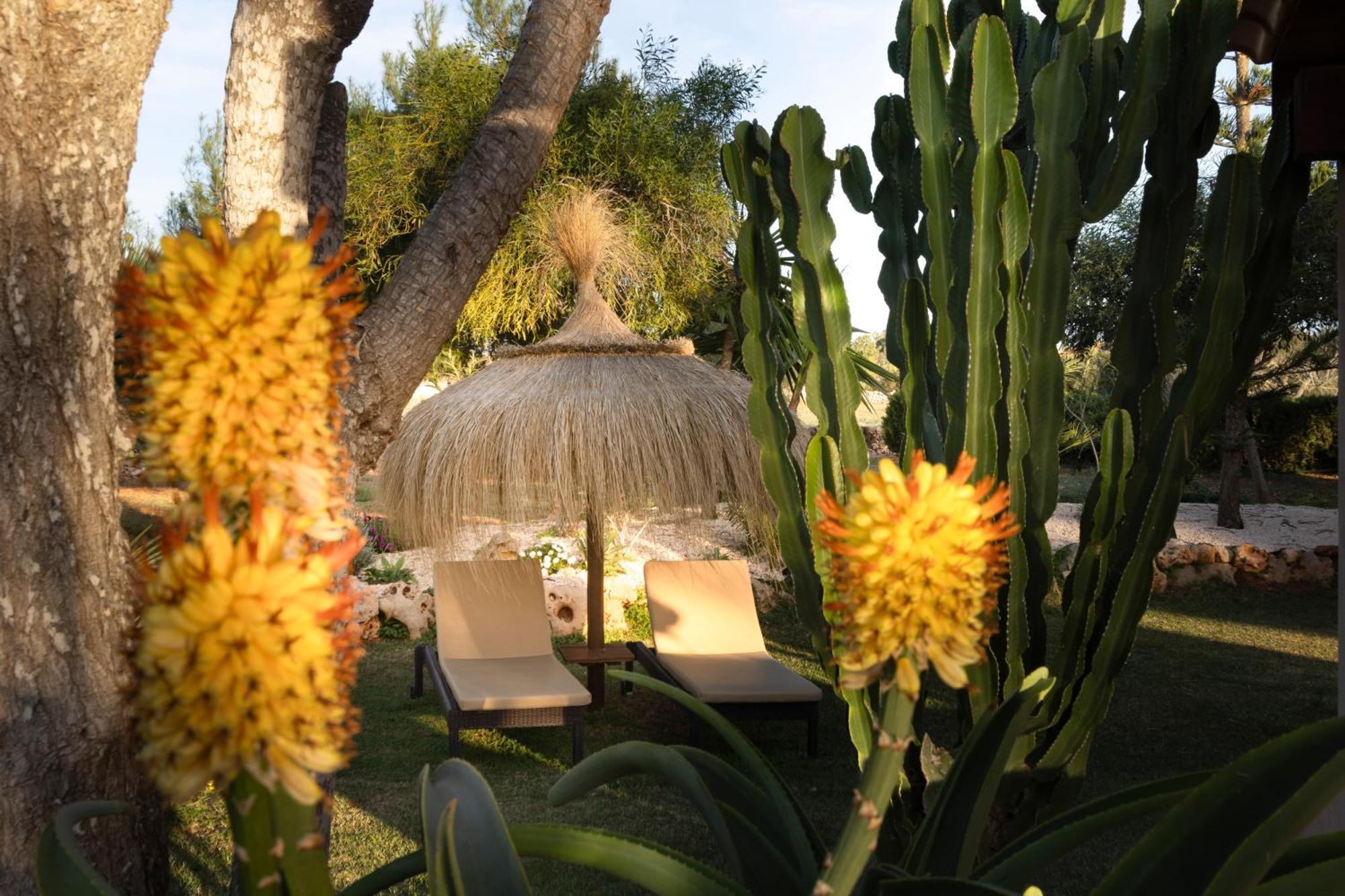 Agroturismo Finca Sa Tanca Cala D´Or Eksteriør bilde